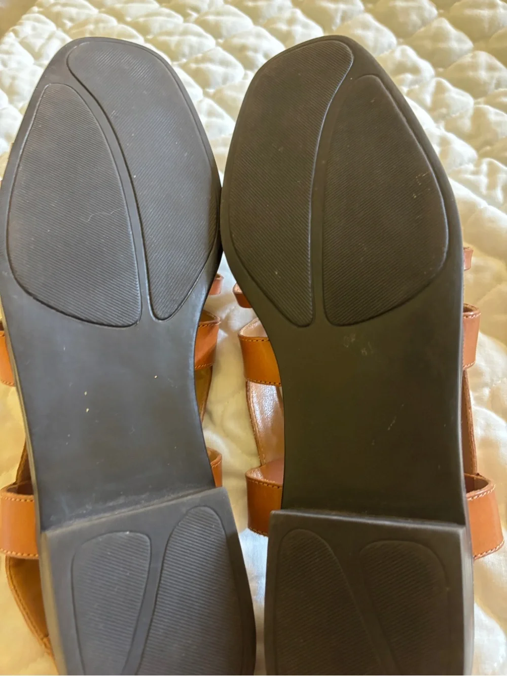 Chicory leather multi